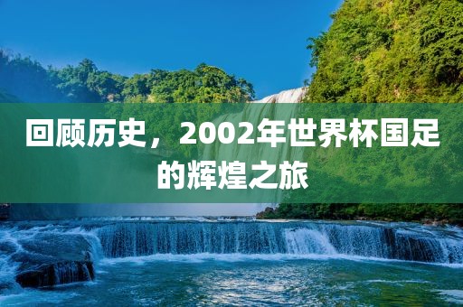 回顾历史，2眉山市正发家政服务有限公司002年世界杯国足的辉煌之旅