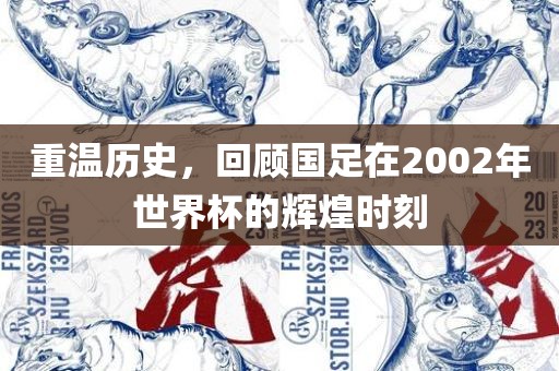 重温历史，回顾国足在2002年世界杯的眉山市正发家政服务有限公司辉煌时刻
