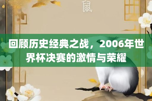 回顾历史经典之战，2006年世界杯决赛的激情与荣耀
