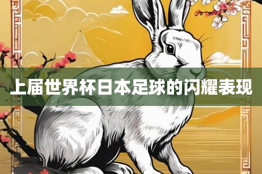 上届世界杯日本足球的闪耀表现