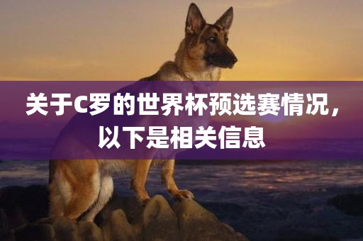 关于C罗的世界杯预选赛情况，以下是相关信息