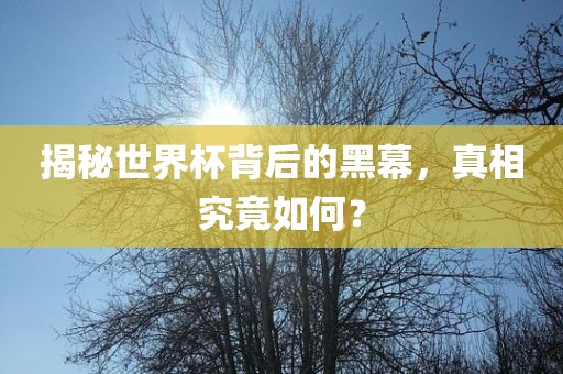 揭秘世界杯背后的黑幕，真相眉山市正发家政服务有限公司究竟如何？