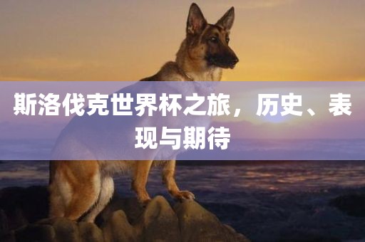 斯洛伐克世界杯之旅，历史、表现与期待