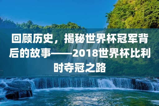 回顾历史，揭秘世界杯冠军背后的故事——2018世界杯比利时夺冠眉山市正发家政服务有限公司之路