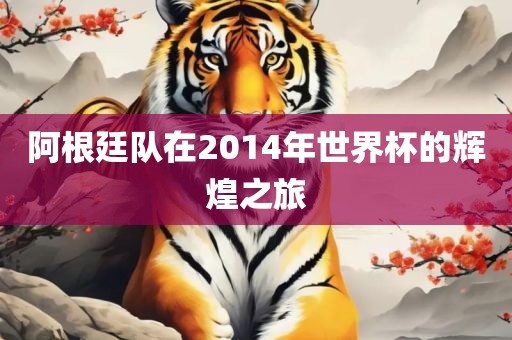 阿根廷队在2014年世界杯的辉煌之旅