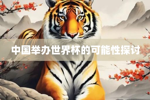 中国举办世界杯的可能性探讨
