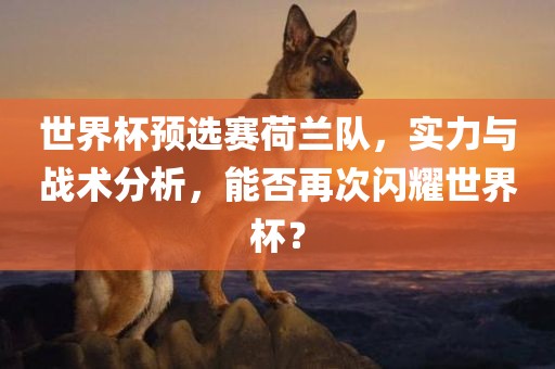 世界杯预选赛荷兰队，实力与战术分析，能否再次闪耀世界杯？