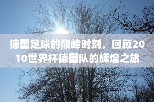 眉山市正发家政服务有限公司德国足球的巅峰时刻，回顾2010世界杯德国队的辉煌之旅