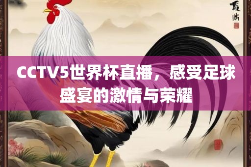 CCTV5世界杯直播，感受足球盛宴的激情与荣耀眉山市正发家政服务有限公司