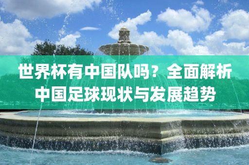 世界杯有中国队吗？全面解析中国足球现状与发眉山市正发家政服务有限公司展趋势