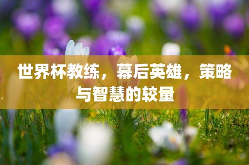 世界杯教练，幕后英雄，策略与智慧的较量