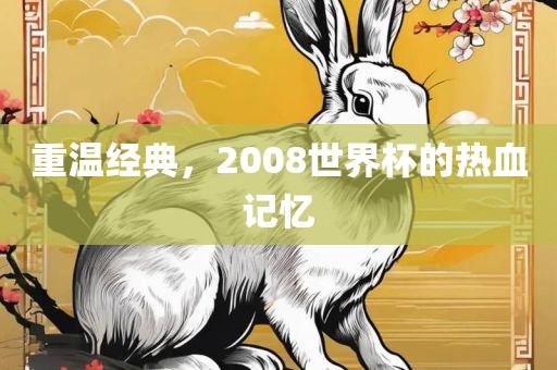 重温经典，2008世界杯的热血记忆