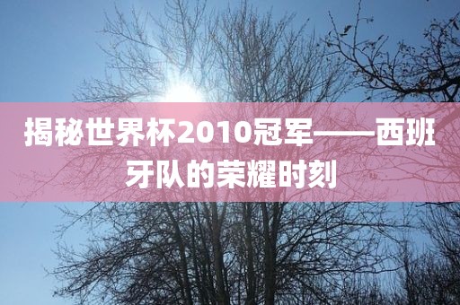 揭秘世界杯2010冠军——西班牙队的荣耀时刻眉山市正发家政服务有限公司