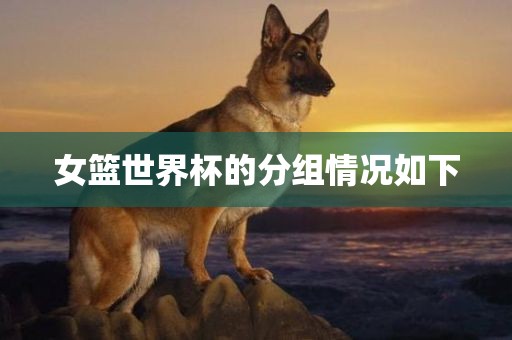 女篮世界杯的分组情况如下