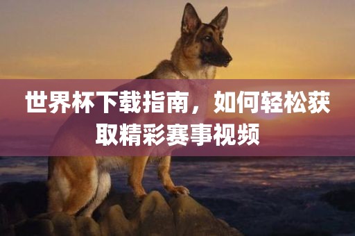 世界杯下载指南，如何轻松获取精彩赛事视频