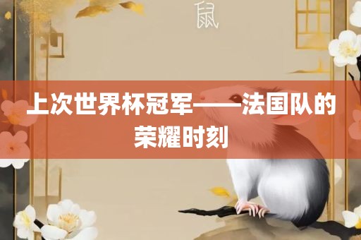 上次世界杯冠军——法国队的荣耀时刻眉山市正发家政服务有限公司