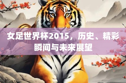 女足世界杯2015，历史、精彩瞬间与未来展望