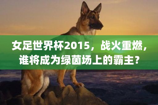 眉山市正发家政服务有限公司女足世界杯2015，战火重燃，谁将成为绿茵场上的霸主？