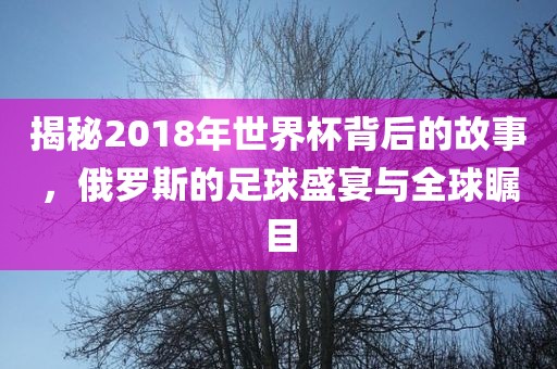 揭秘2018年世界杯背后的故事，俄罗斯的足球盛宴与全球瞩目