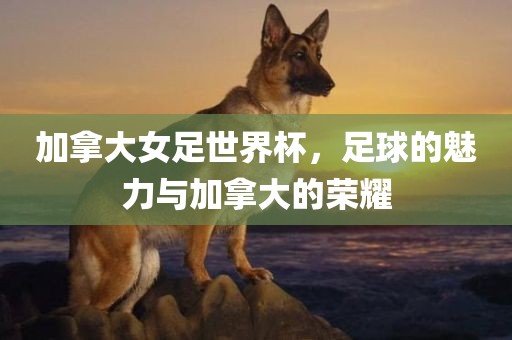 加拿大女足世界杯，足球的魅力与加拿大的荣耀