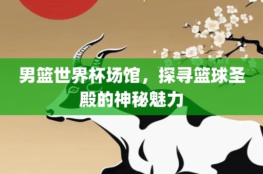 男篮世界杯场馆，探寻篮球圣殿的神秘魅力