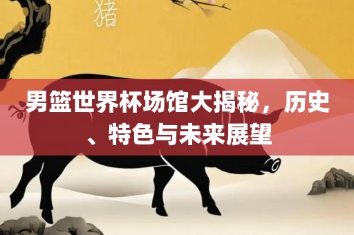 男篮世界杯场馆大揭秘，历史、特色与未来展望