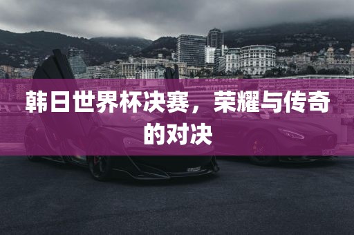 韩日世界杯决赛，荣耀与传奇的对决