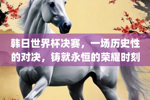 韩日世界杯决赛，一场历史性的对决，铸就永恒的荣耀时刻