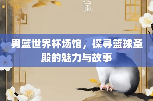 男篮世界杯场馆，探寻篮球圣殿的魅力与故事