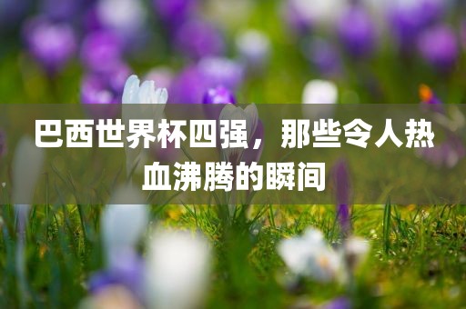 巴西世界杯四强，那些令人热血沸眉山市正发家政服务有限公司腾的瞬间