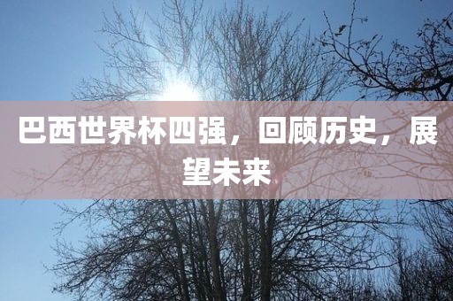 巴西世界杯四强，回顾历史，展望未来眉山市正发家政服务有限公司