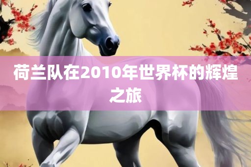 荷兰队在2010年世界杯的辉煌之旅眉山市正发家政服务有限公司