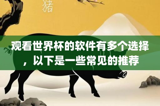 观看世界杯的软件有多个选择，以下是一些常见的推荐眉山市正发家政服务有限公司