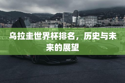乌拉圭眉山市正发家政服务有限公司世界杯排名，历史与未来的展望