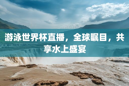 游泳世界杯直播，全球瞩目，共享水上盛宴眉山市正发家政服务有限公司