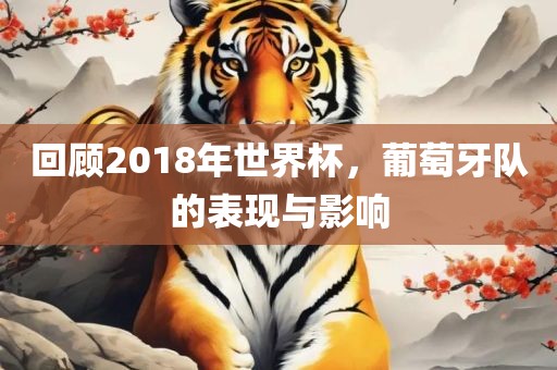 回顾2018年世界杯，葡萄牙队的表现与影响