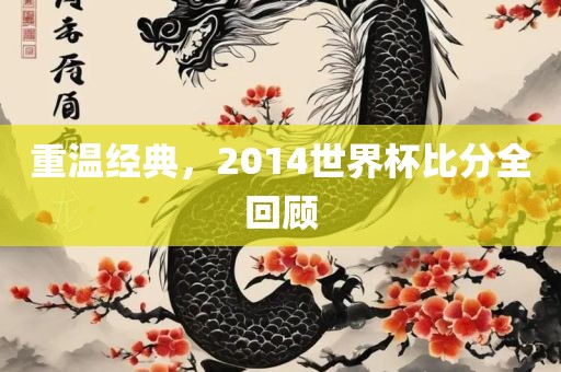 重温经典，2014世界杯比分全回顾