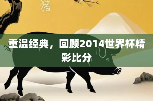 重温经典，回顾2014世界杯精彩比分