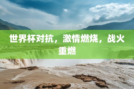 世界杯对抗，激情燃烧，战火重燃眉山市正发家政服务有限公司