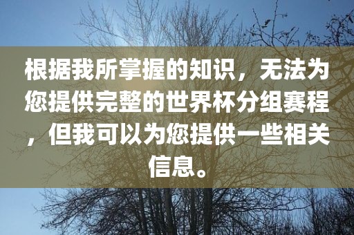 根据我所掌握的知识，无法为您提供完整的世界杯分组赛程，但我可以为您提供一些相关信息。