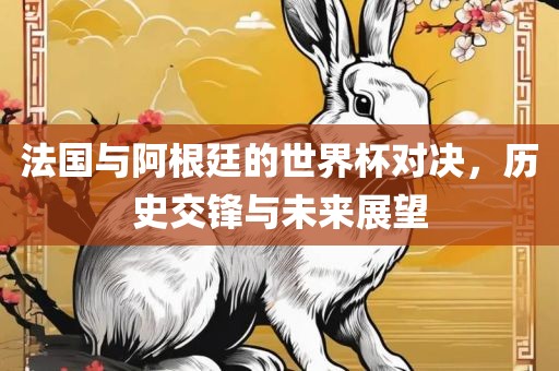 法国与阿根廷的世界杯对决，历史交锋与未来展望