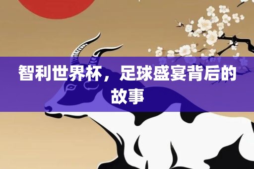 智利世界杯，足球盛宴背后的故事