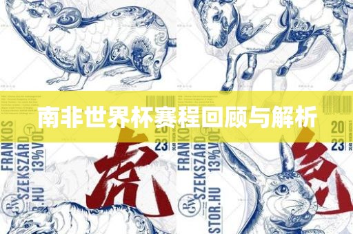 南非世界杯赛程回顾与解析眉山市正发家政服务有限公司