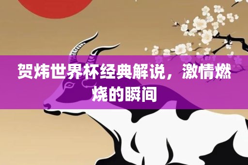 贺炜世界杯经典解说，激情燃烧的瞬间