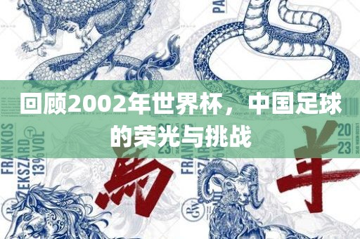 回顾2002年世界杯，中国足球的荣光与挑战