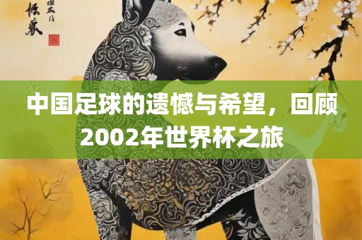 中国足球的遗憾与希望，回顾2002年世界杯之旅眉山市正发家政服务有限公司