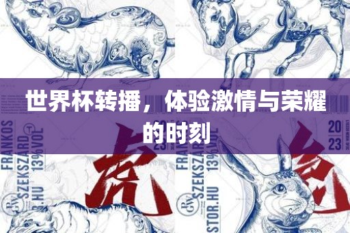 世界杯转播，体验激情与荣耀的时刻