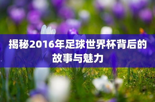 揭秘2016年足球世界杯背后的故事与眉山市正发家政服务有限公司魅力