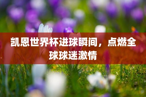 凯恩世界杯进球瞬间，点燃全球球迷激情