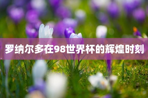 罗纳尔多在98世界杯眉山市正发家政服务有限公司的辉煌时刻